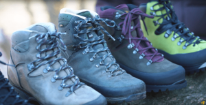 Schermafbeelding 2018 07 09 Om 16.48.16 E1531147744830 1 300x154