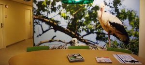 Toorop Paviljoen - Centrum voor Geboortezorg Olvg E1531234836121 1 300x136