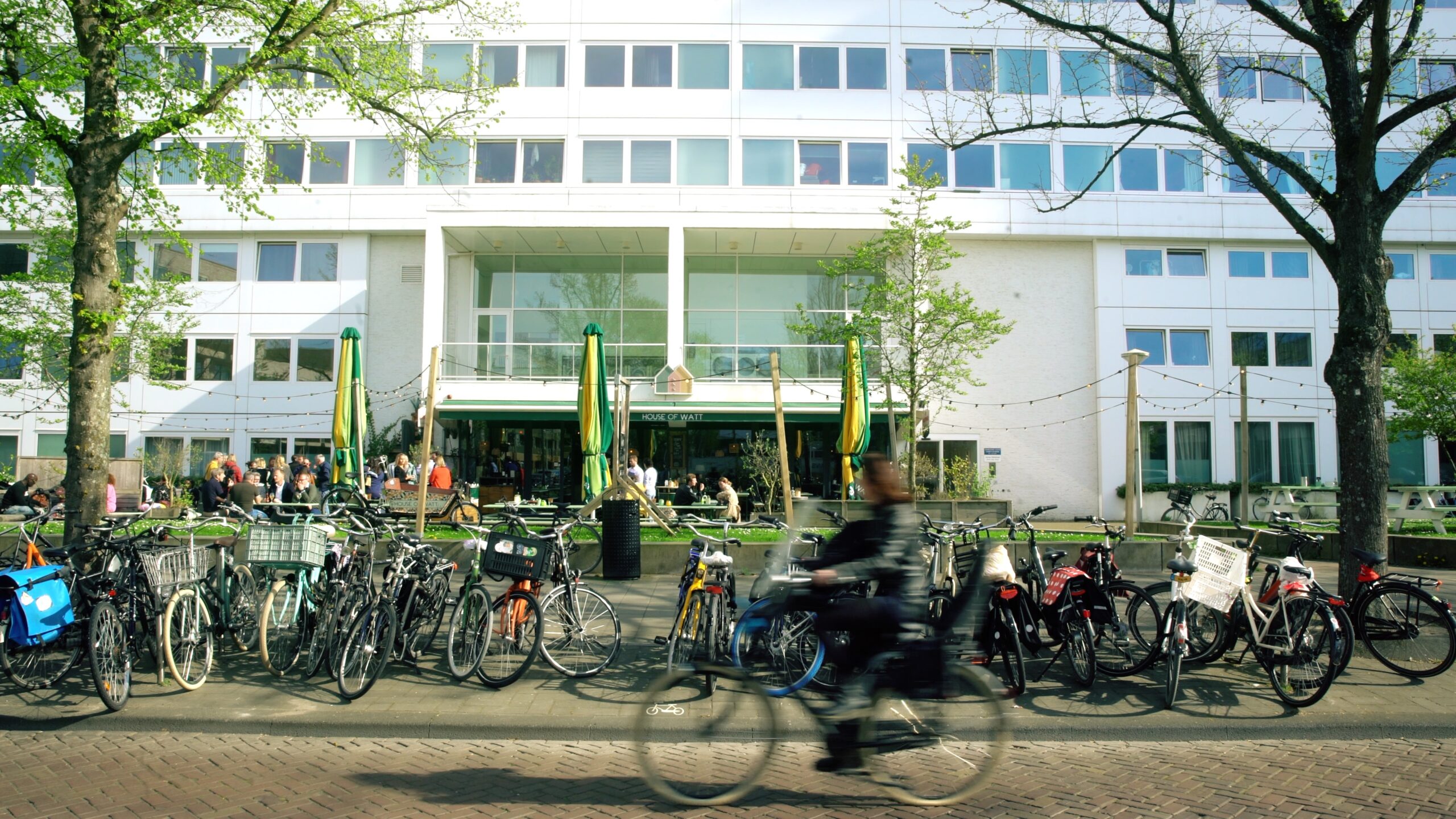 The NL Highly skilled migrant 2022 Event Ravecruitment Aftermovie 01 Scaled 1