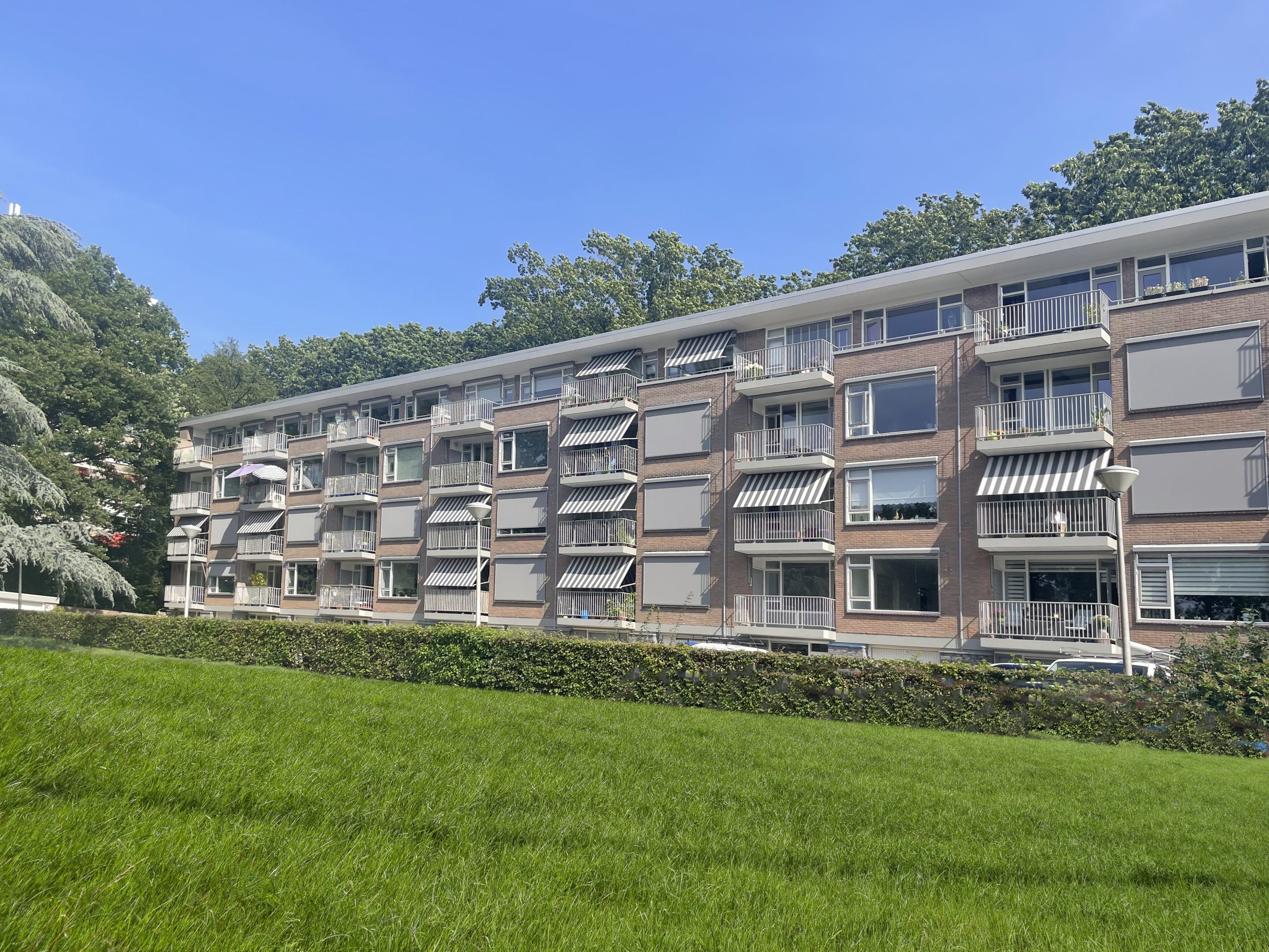 Flat Cranevelt Scaled 1